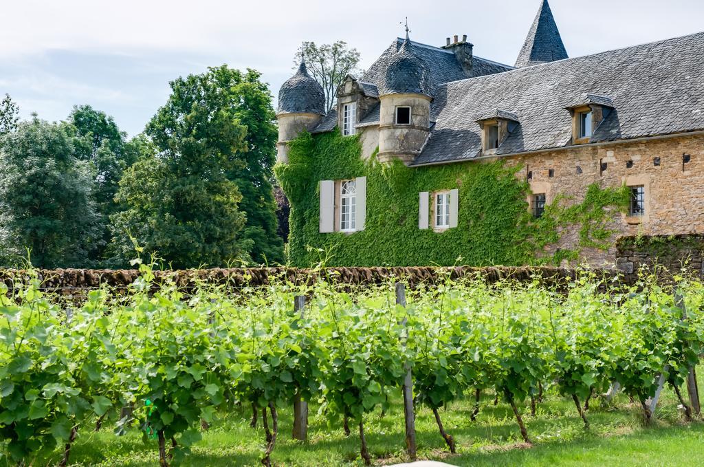 Chateau De Labro - Teritoria Onet-le-Château المظهر الخارجي الصورة